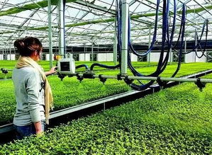 科技赋能现代农业 环保技术推动可持续发展新路径