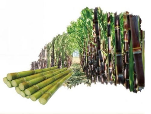 环保新材料与新技术黑科技开拓新市场