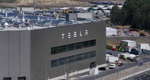 环保之名下的冲突 特斯拉柏林工厂纵火事件引发的思考